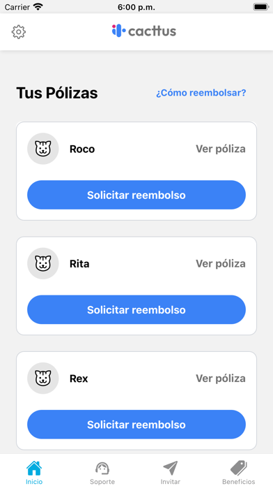 Cacttus Screenshot