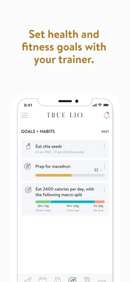 Game screenshot True LIO hack