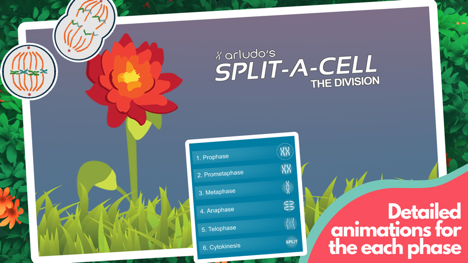 #3. Split-A-Cell (iOS) 由: arludo Pty Ltd