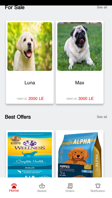 Pet Services Egypt Screenshot