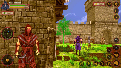 Ninja Assassin Stealth Master Screenshot