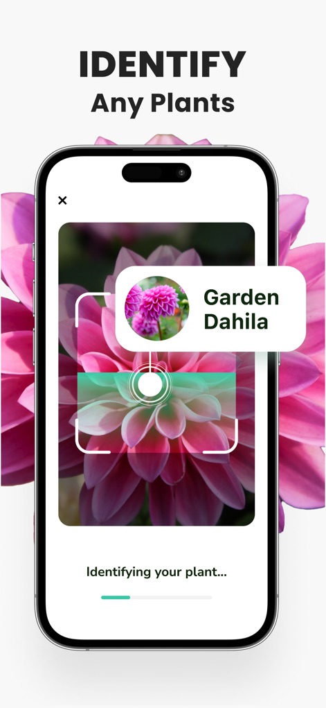 Plant Identifier - PlantMe - Découvrez la puissance de l'application : les utilisateurs peuvent identifier n'importe quelle plante en un instant grâce au processus de scan via l'IA, et obtenir un affichage instantané du nom pour enrichir leurs connaissances botaniques.