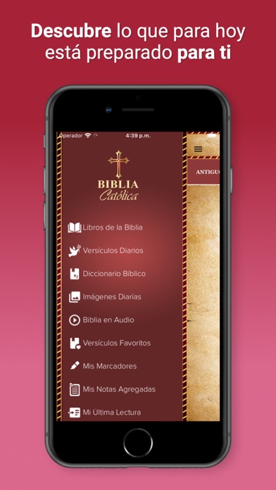 Biblia Católica en Español Screenshot