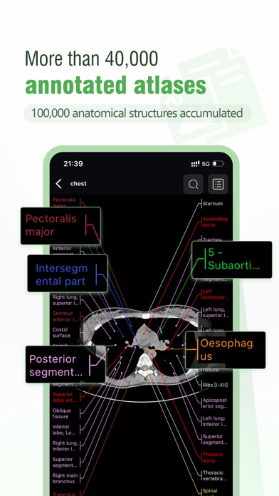 Imaging Anatomy Atlas Screenshot