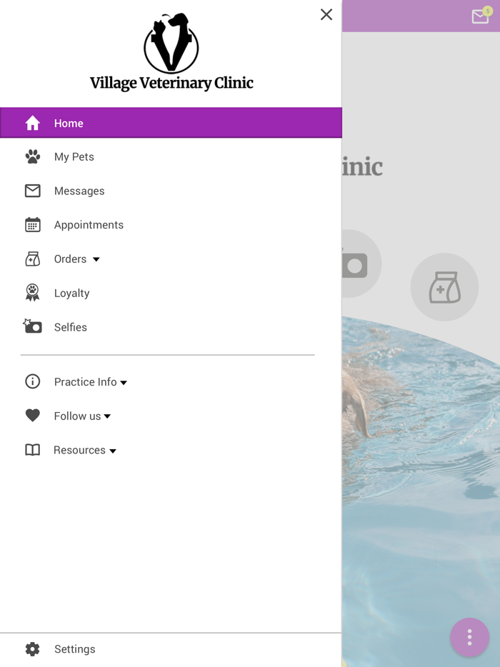 Village Vet Clinic OH