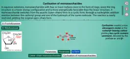 Game screenshot Biomolecules: Macromolecules apk