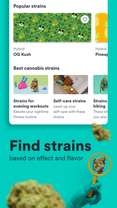Weedmaps: Cannabis, Weed & CBD Screenshot