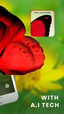 Game screenshot What bug is this Identify bugs apk