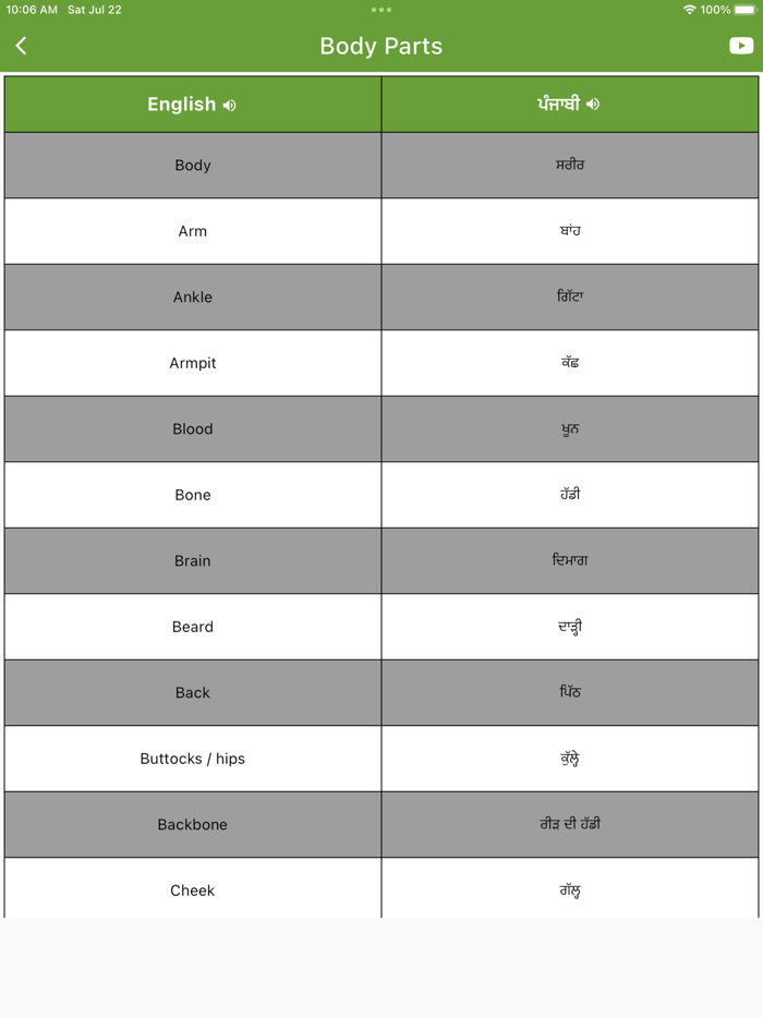 Daily Words English to Punjabi