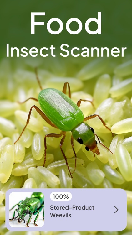 Bug Insect Identifier