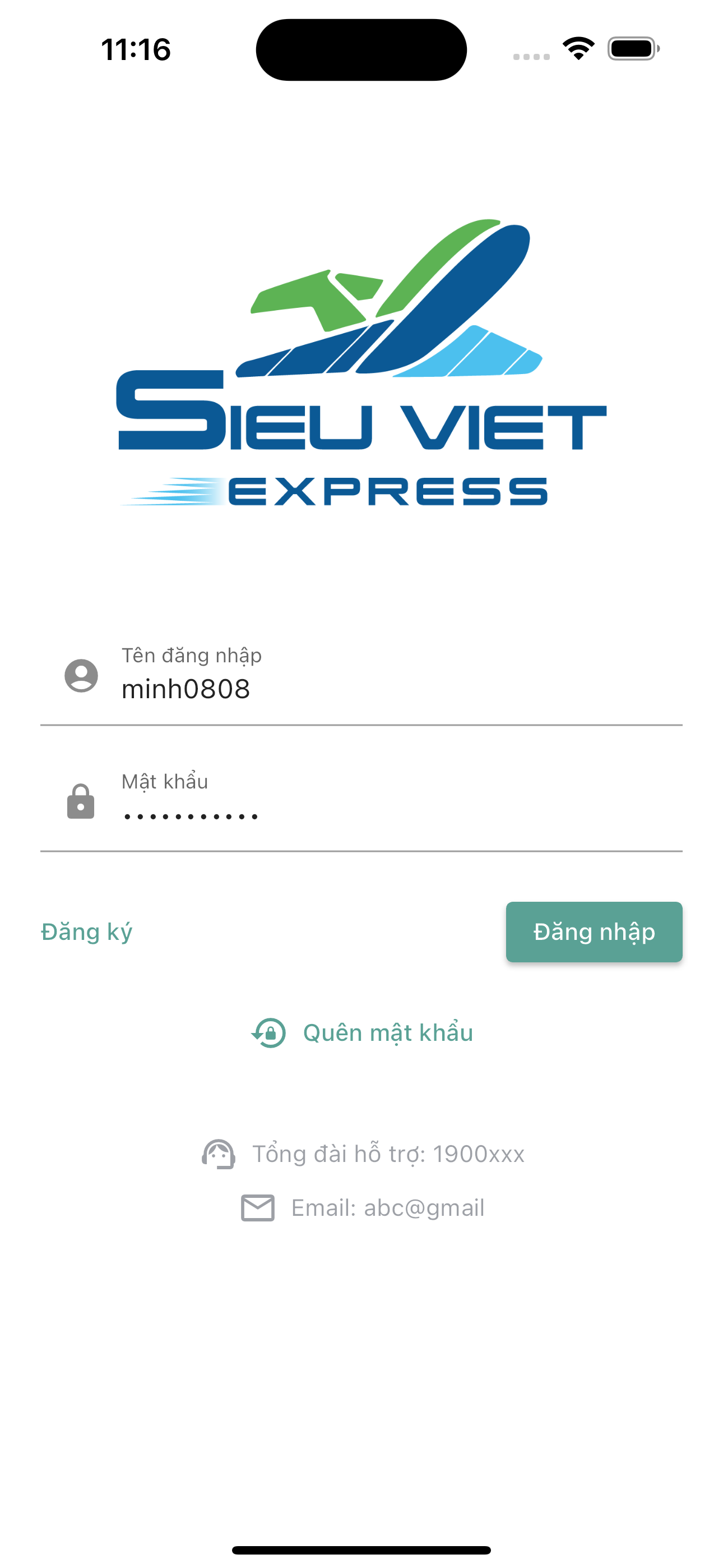 Sieu Viet Express