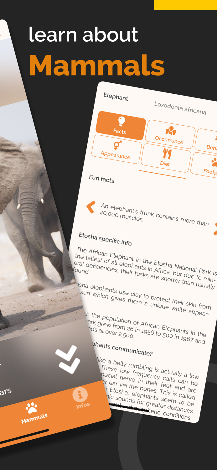 Etosha App - Namibia