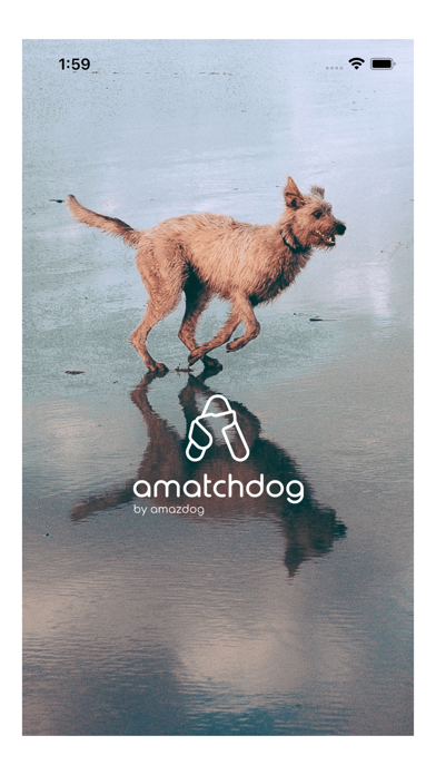 Amazdog Screenshot