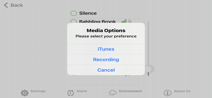 SomaWave Sound Therapy