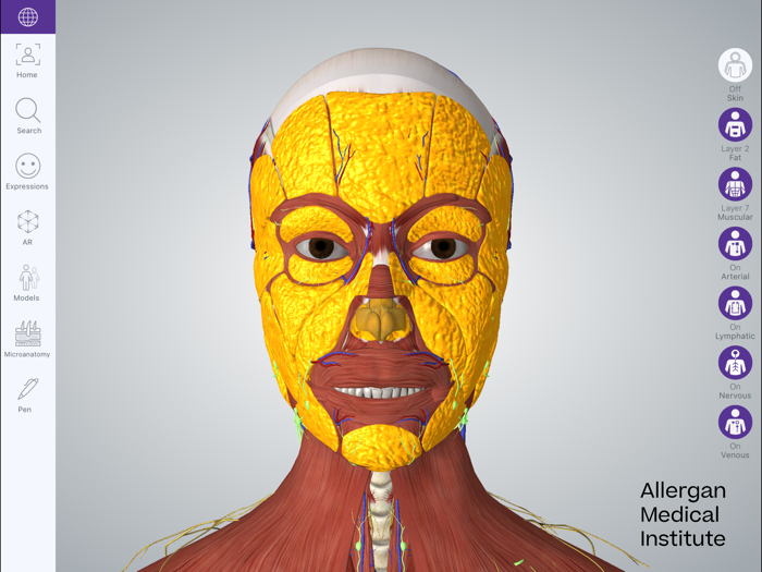 AMI Facial Anatomy for iPads