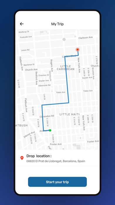 Coyoacan Drivers Screenshot