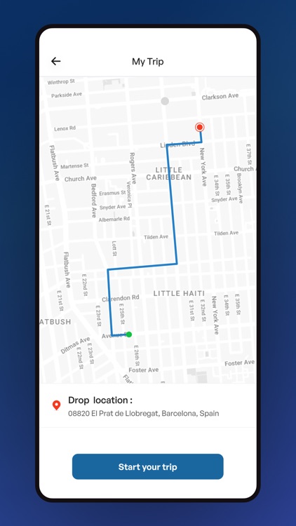 Coyoacan Drivers screenshot-4