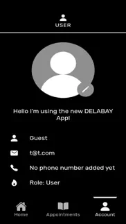 delabay problems & solutions and troubleshooting guide - 2