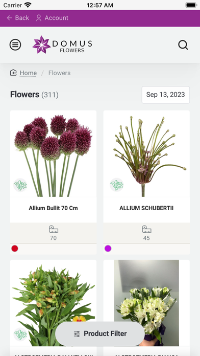 Domus Flowers Screenshot
