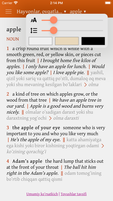 Expand Your English: O'zbekcha Screenshot