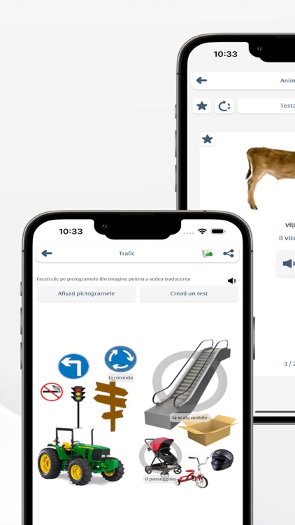 Invata Italiana screenshot-4