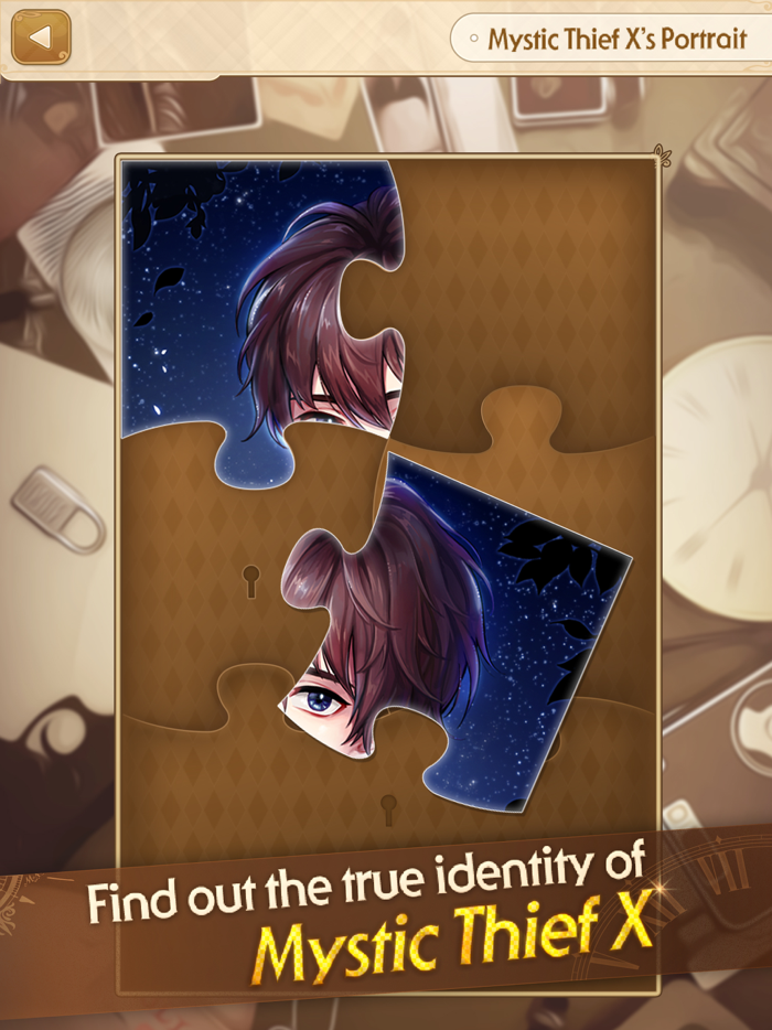 Miss Detectives Undercover