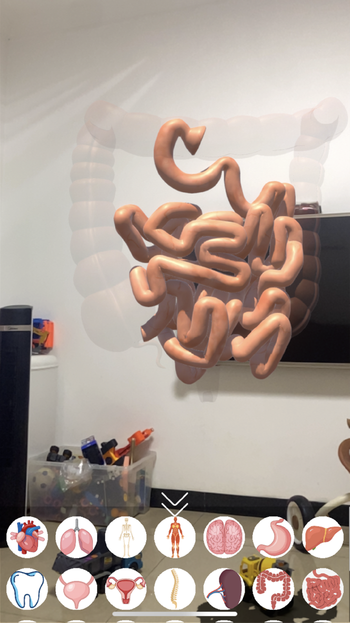 AR Human Organs