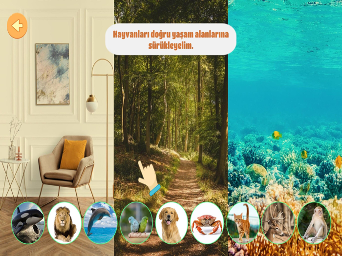 Hayvanları Öğreniyorum 4 Yaş