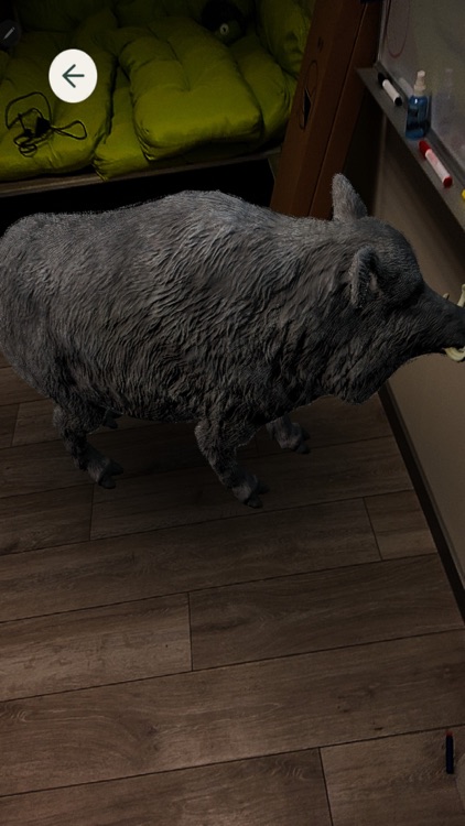 Objav Lesopark screenshot-6