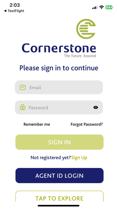 Cornerstone Insurance Plc Screenshot