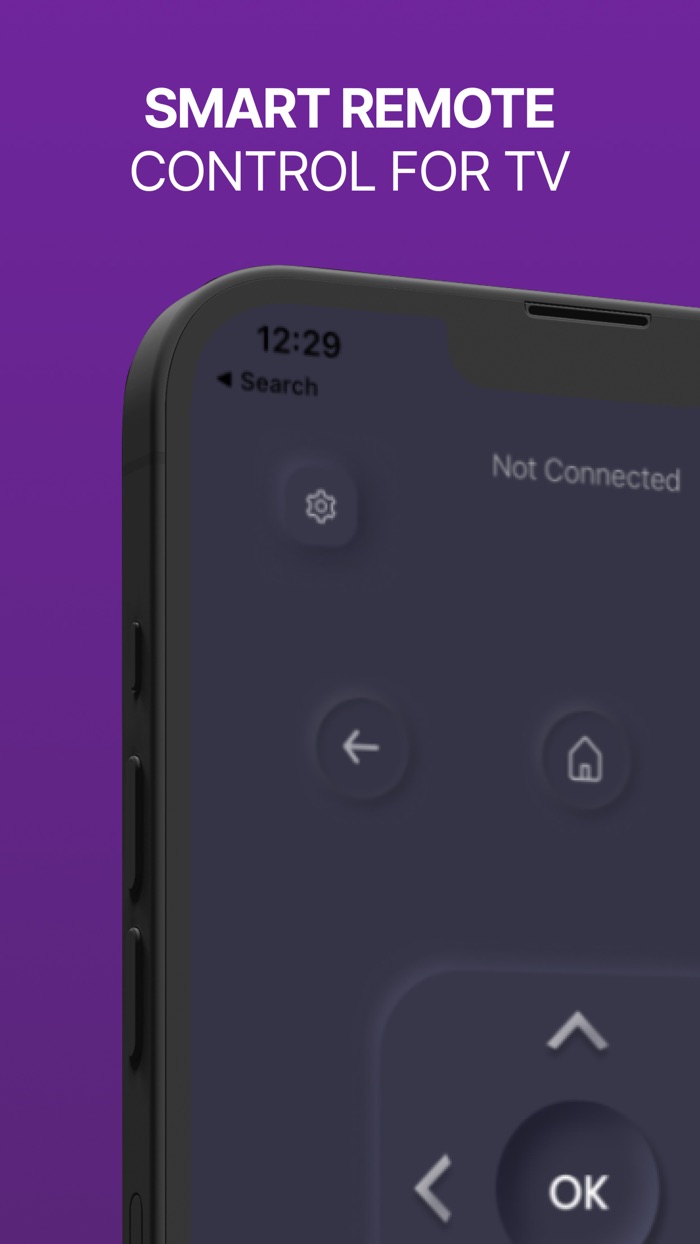 Universal TV Remote for Roku