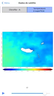MadeiraOcean iphone bilder 1