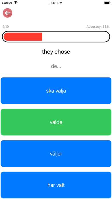 Swedish Verb Blitz Screenshot