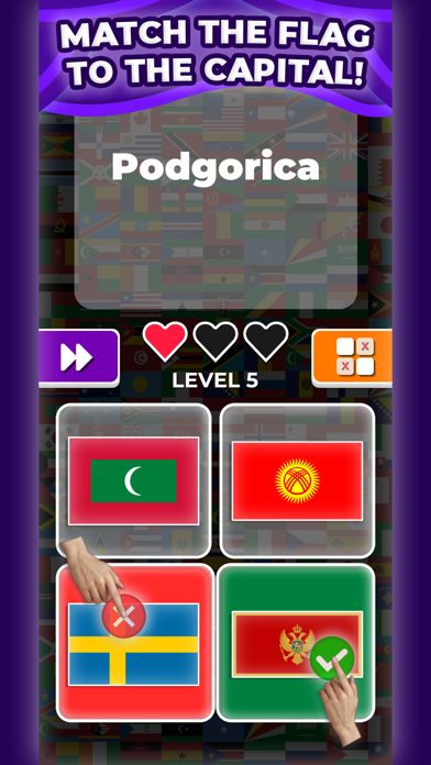 Guess The Flag & Country! Screenshot