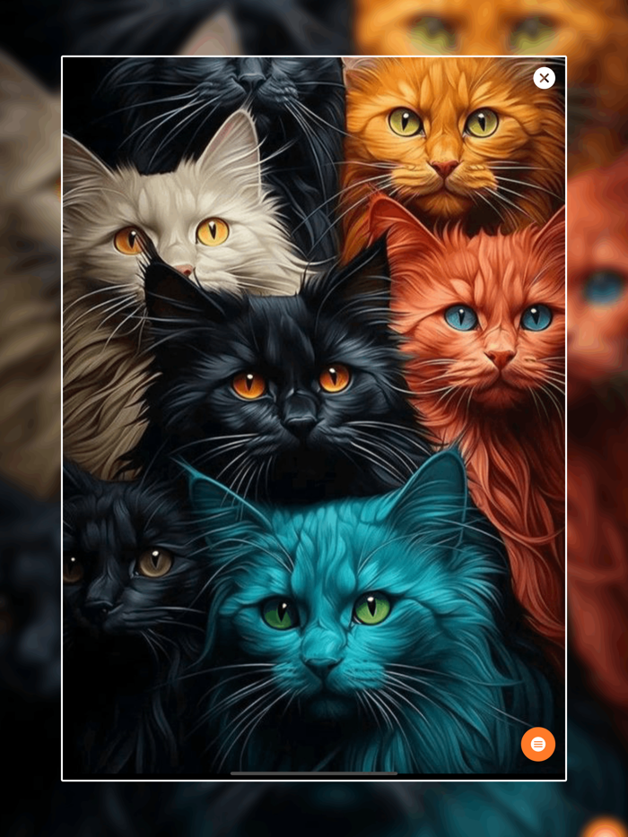 Cute Animals HD Wallpapers