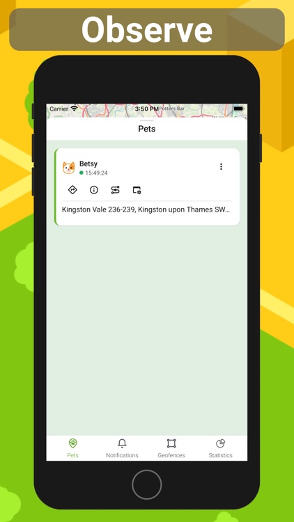 Petovik — Closer to your pet