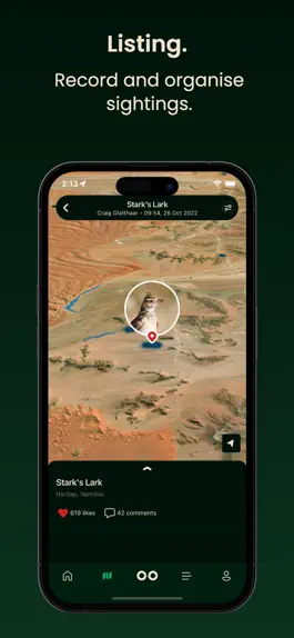 Game screenshot Bïndo Birding hack