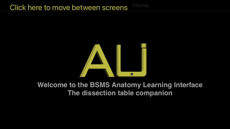 Anatomy Learning Interface