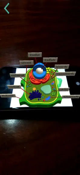Game screenshot Plant Cell apk