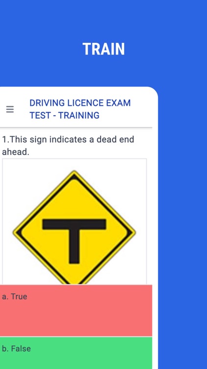 Driving Licence Exam Japan