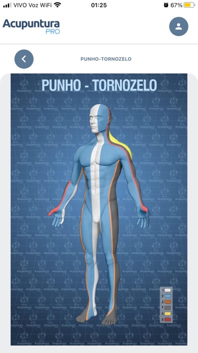 Acupuntura Pro Screenshot