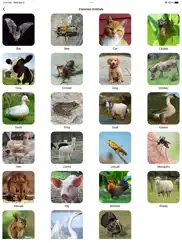 animal sounds pro farm jungle voices for kids айпад изображения 2