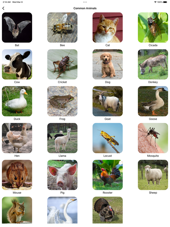 Screenshot #2 for Animal Sounds Pro & Bird Noise