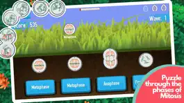 Game screenshot Split-A-Cell apk
