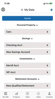 living balance sheet® iphone screenshot 1