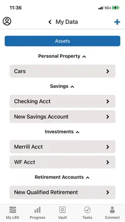 Living Balance Sheet® iPhone image 1