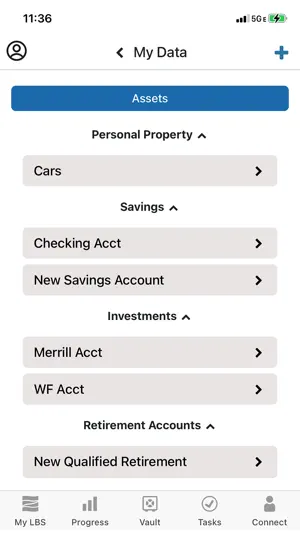 Living Balance Sheet® screenshot 1