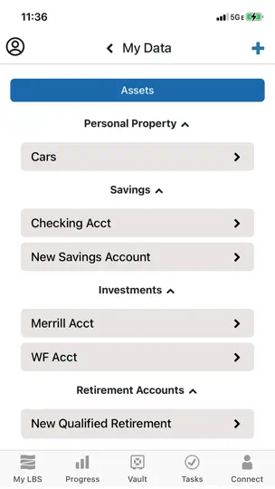 Living Balance Sheet® iPhone Screenshot 1