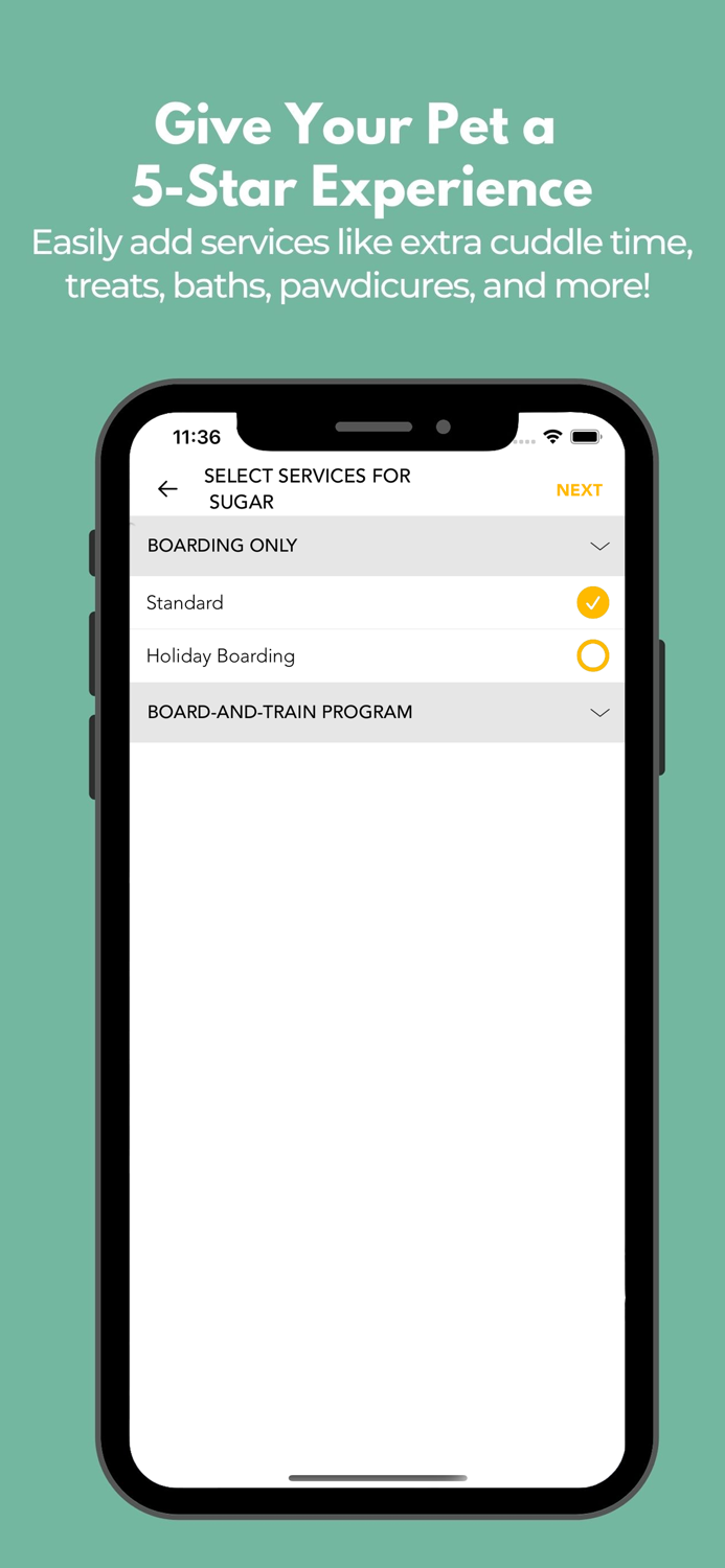 No Monkey Business DogTraining