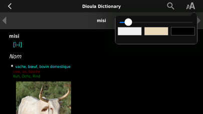 Dioula Dictionary Screenshot